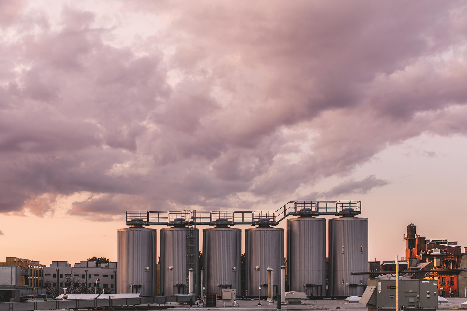 La cervecera Yards: Un viaje hacia el éxito